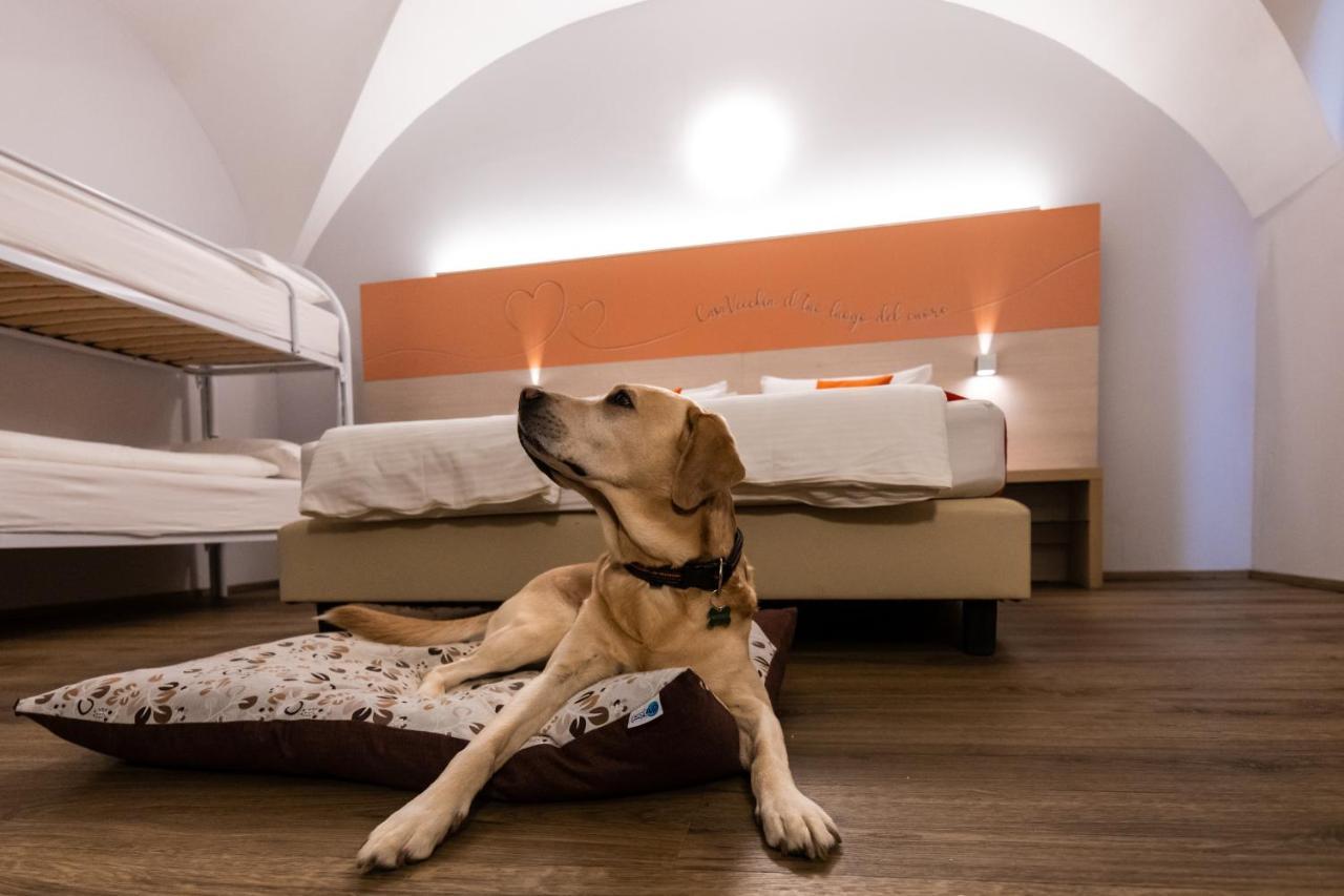 Albergo Casavecchia Tiarno di Sopra Eksteriør billede